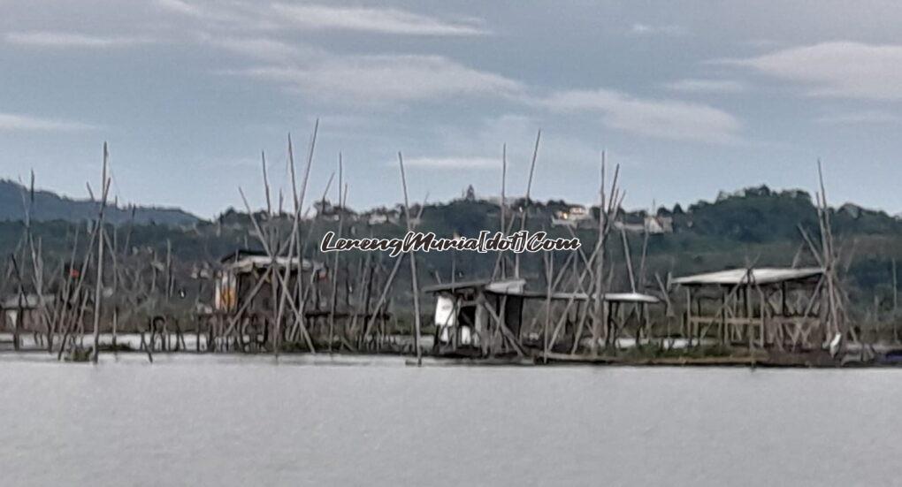 Foto lokasi branjang berupa gubuk apung di tengah Rawa Pening