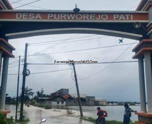 Foto jalan dan persawahan di Desa Purworejo Pati terendam banjir