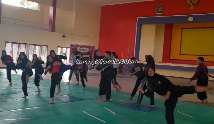 Foto atlet pencak silat sedang melakukan latihan teknik tendangan