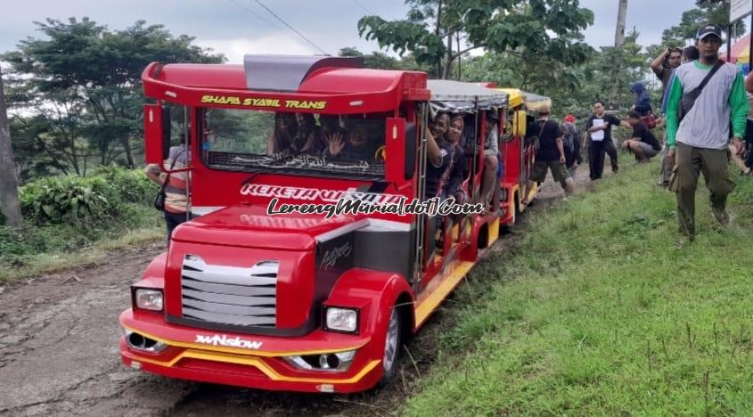 Foto kereta kelinci yang berada di kawasan Kebun Teh Kemuning siap mengantar pengunjung sesuai tujuan