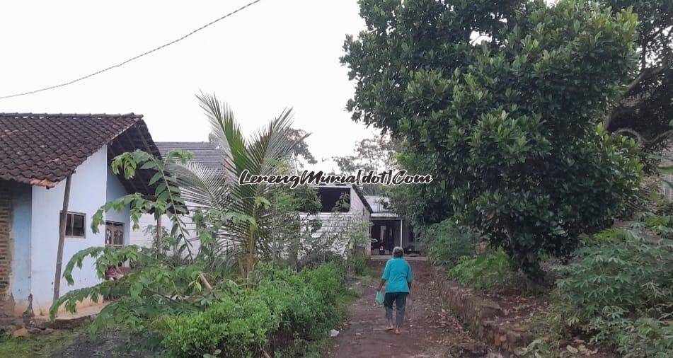 Seorang warga yang lewat tepat di lokasi kambing Sanaji ngambek tidak mau jalan