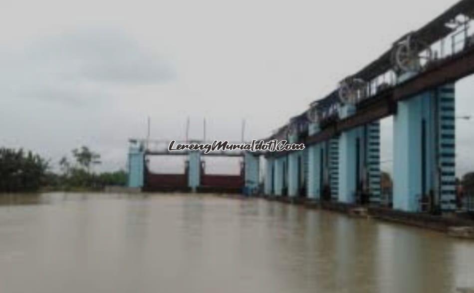 Bendungan Wilalung  yang dibangun tahun 1892 di Kabupaten Kudus masih berdiri kokoh dan berfungsi dengan baik sampai sekarang | LERENG MURIA Bendungan Wilalung yang dibangun tahun 1892 di Kabupaten Kudus masih berdiri kokoh dan berfungsi dengan baik sampai sekarang