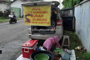 Tiyas penjual lele dumbo sedang menimbang dagangannya dan pulang lebih awal karena laris