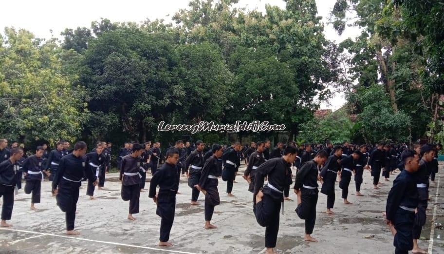 Pesilat SH Terate sabuk putih sedang melakukan peregangan di Zona 3 SMAN 3 Pati