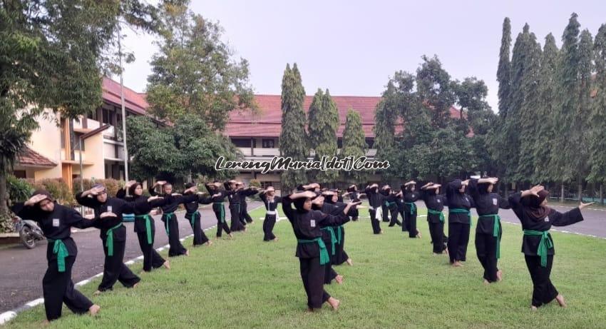 Salah satu gerakan pasang dari seni bela diri pencak silat