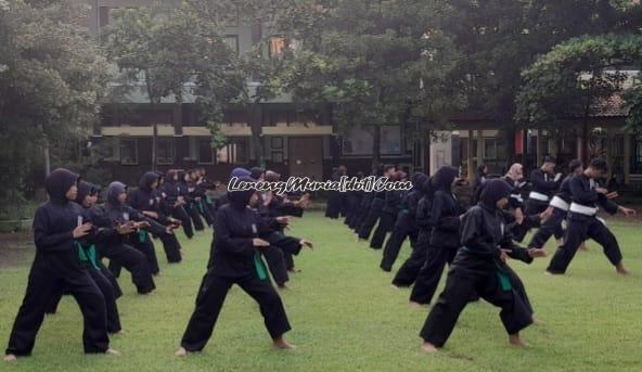 Peragaan jurus oleh pesilat dari SMKN 3 Pati