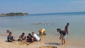 PANTAI PAILUS MLONGO JEPARA, BERBURU IKAN DI AIR JERNIH