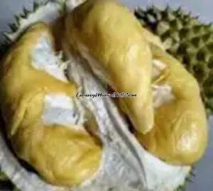 Durian Petruk yang memiliki daging buah berwarna kuning berasa manis agak pahit (Foto:Wikipedia.org)