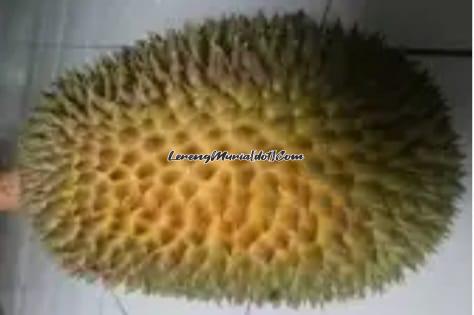 Durian Petruk yang berbentuk bulat telur terbalik dengan warna hijau kekuningan (Foto:Wekipedia.org)