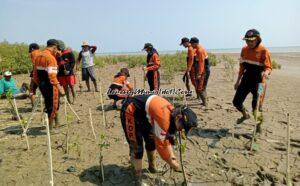 Kopasga SMAN 3 Pati berperan aktif dalam penanaman mangrove di Desa Tluwuk Pati bekerja sama dengan LPPM UNNES Semarang