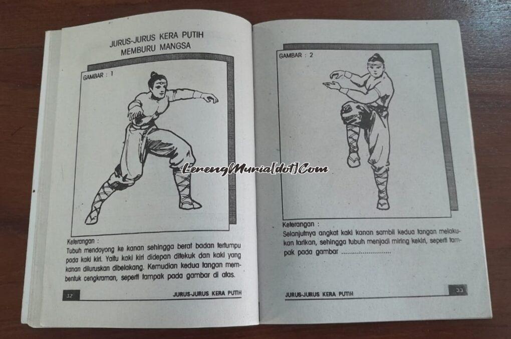 Isi buku pencak silat Jurus-Jurus Kera Sakti Warisan Ciung Wanara berupa gerakan khas kera