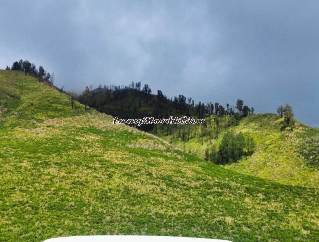 Bukit Teletubbies di Gunung Bromo yang mirip film serial di televisi