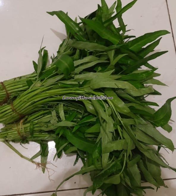 Kangkung segar yang siap dimasak tumis