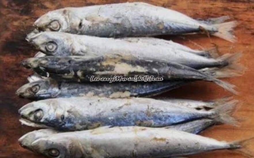 Ikan pindang yang lezat rasanya (Foto:Liputan6.com)