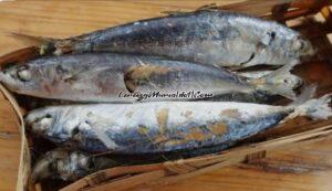 IKAN PINDANG JADUL