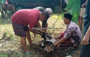 IDUL ADHA TINGKATKAN KEBERSAMAAN WARGA RENDOLE INDAH PATI