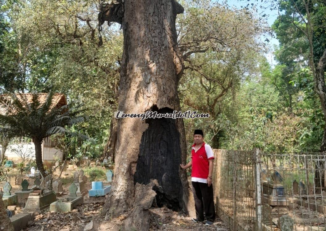 Seorang peziarah sedang berfoto di samping pohon mangga gowok | LERENG MURIA Seorang peziarah sedang berfoto di samping pohon mangga gowok