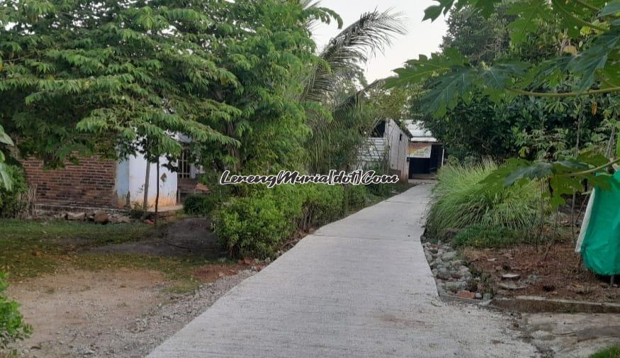 Jalan di salah satu gang di Dukuh Semi Desa Semirejo Pati yang dibeton terlihat mulus sebagai jalur alternatif