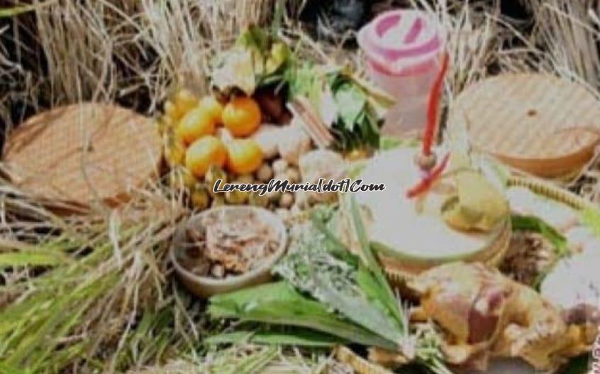 Ilustrasi perlengkapan tradisi wiwit di Jawa (Foto: Antara News Yogyakarta)