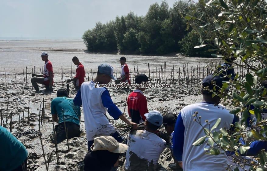 Para peserta Mageri Segoro dari berbagai komunitas sedang sibuk menanam tumbuhan mangrove di Pantai Ujung Tluwuk Desa Tluwuk Pati