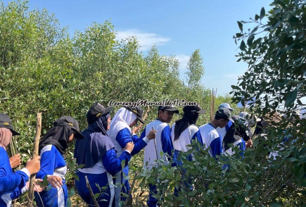 Siswa SMAN 3 Pati membawa batang mangrove menuju lokasi pesisir Pantai Ujung Tluwuk Desa Tluwuk Pati | LERENG MURIA Siswa SMAN 3 Pati membawa batang mangrove menuju lokasi pesisir Pantai Ujung Tluwuk Desa Tluwuk Pati