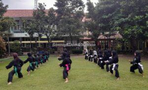 PENCAK SILAT DI SEKOLAH MILIK JAWA TENGAH DI PATI: DOMINASI SH TERATE