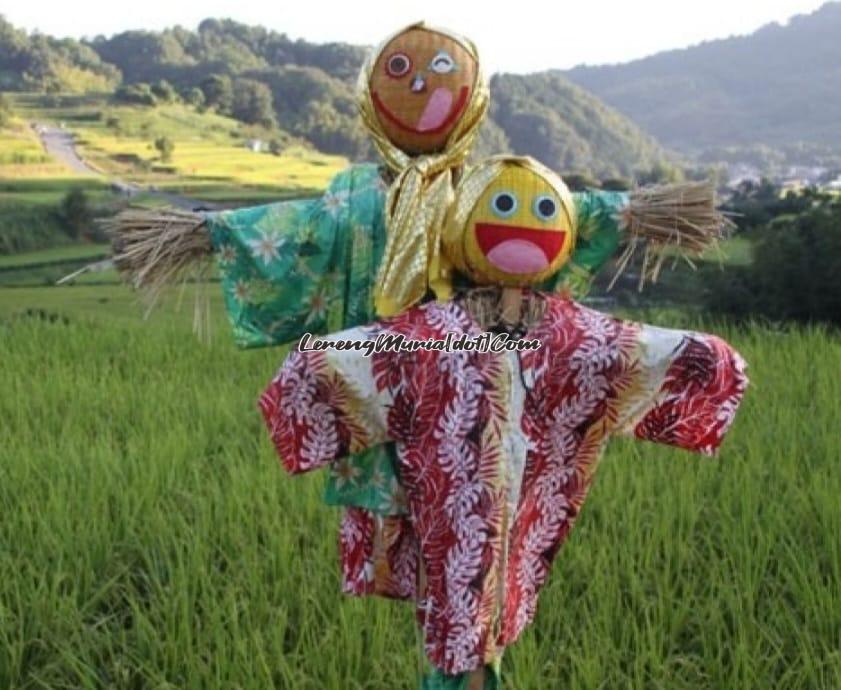 Memedi sawah yang digunakan untuk mengusir hama burung (Foto: Antara News Bengkulu)