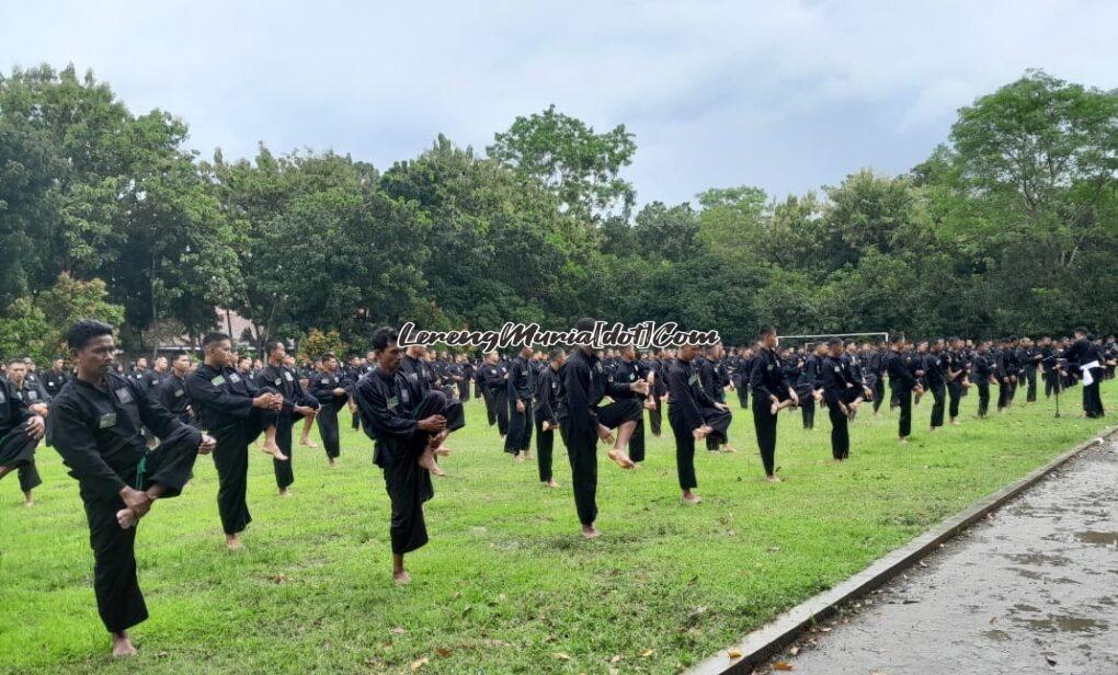 Pesilat SH Terate Cabang Pati sedang pelenturan ketika mengikuti UKT sabuk hijau ke putih di SMAN 3 Pati