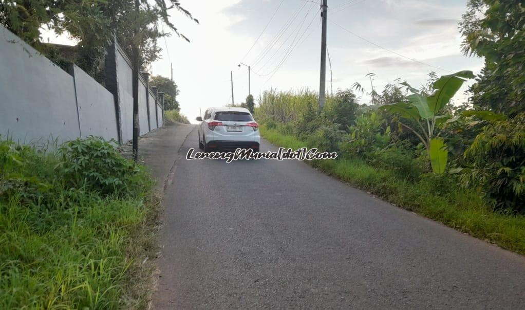 Sebuah mobil melewati Punggruk Desa Semirejo Pati yang pernah dikabarkan penampakan hantu Glundung Pecengis | LERENG MURIA Sebuah mobil melewati Punggruk Desa Semirejo Pati yang pernah dikabarkan penampakan hantu Glundung Pecengis