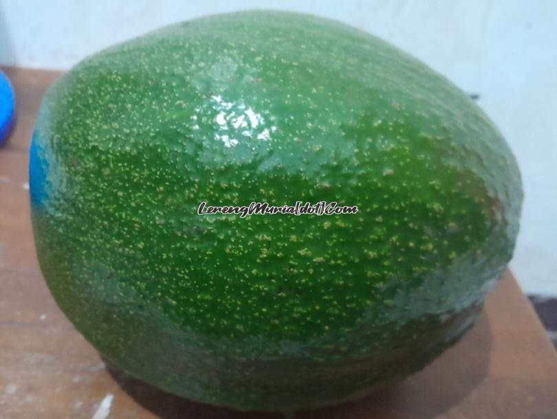 Alpukat Kendil yang berbentuk bulat seperti periuk/kendil berukuran jumbo.